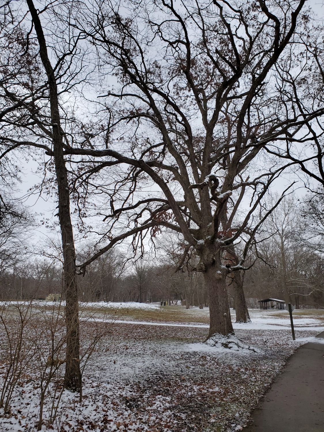 Kankakee River State Park 